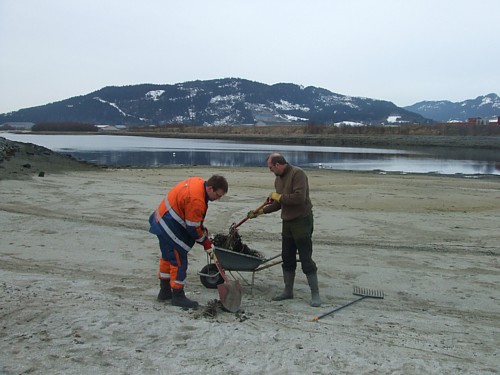 Dugnad i Gammelosen. Foto: Synnøve Sundli