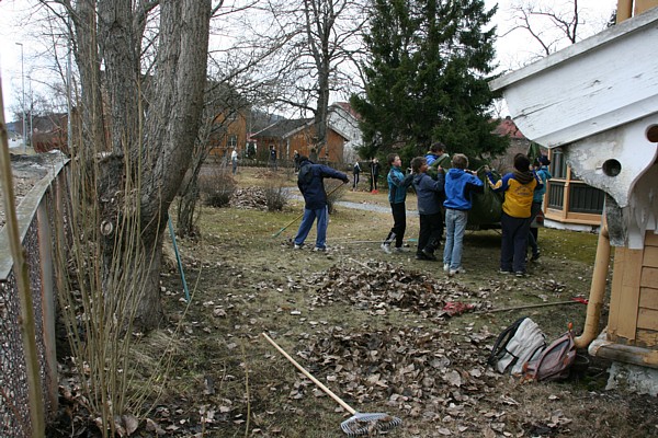 8.trinnet på Orkanger U rydder på Strandheim. Foto: Marit Mjøen