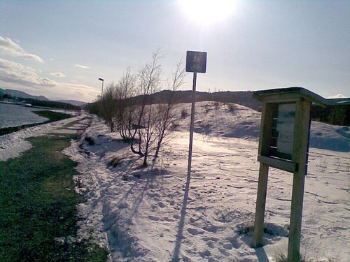 Historisk vandring rundt Gammelosen. Foto: Marit Mjøen
