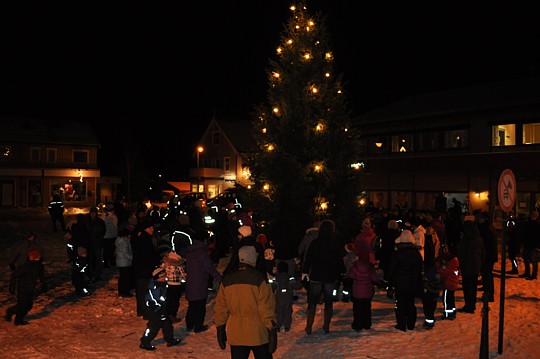 Julegrana2010.jpg