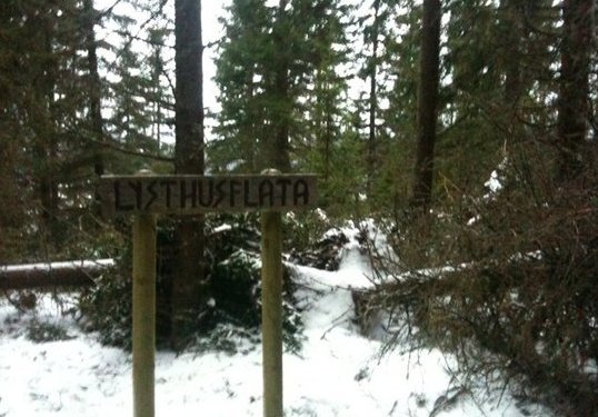 Lysthusflata_1.jpg